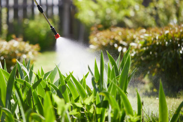 24/7 Emergency Fumigation Services experts in Eleanor, WV