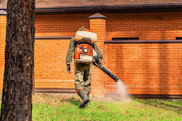 Trusted Fumigation Services service in Eleanor, WV - Nex Pest Control